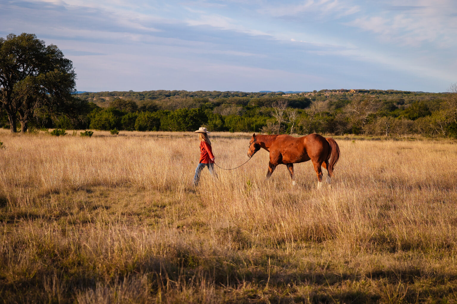 Best land appraisers in Texas