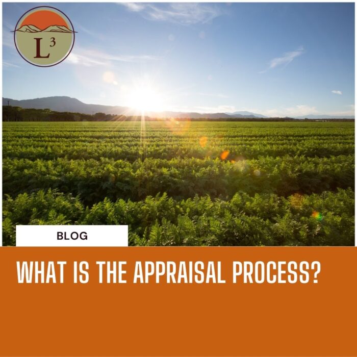 What is the appraisal process?